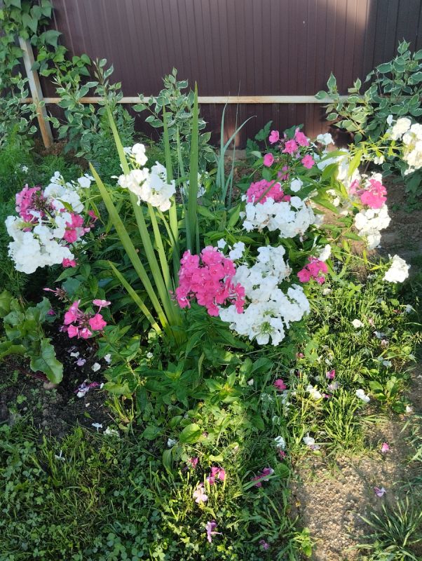 ����������� �������: ��� �� ������������ ������� ������� � �������� ���������