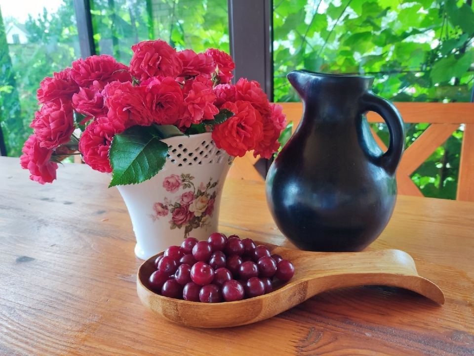 ��� ������� ������ ����: ������ ��� �������� ������ ������������