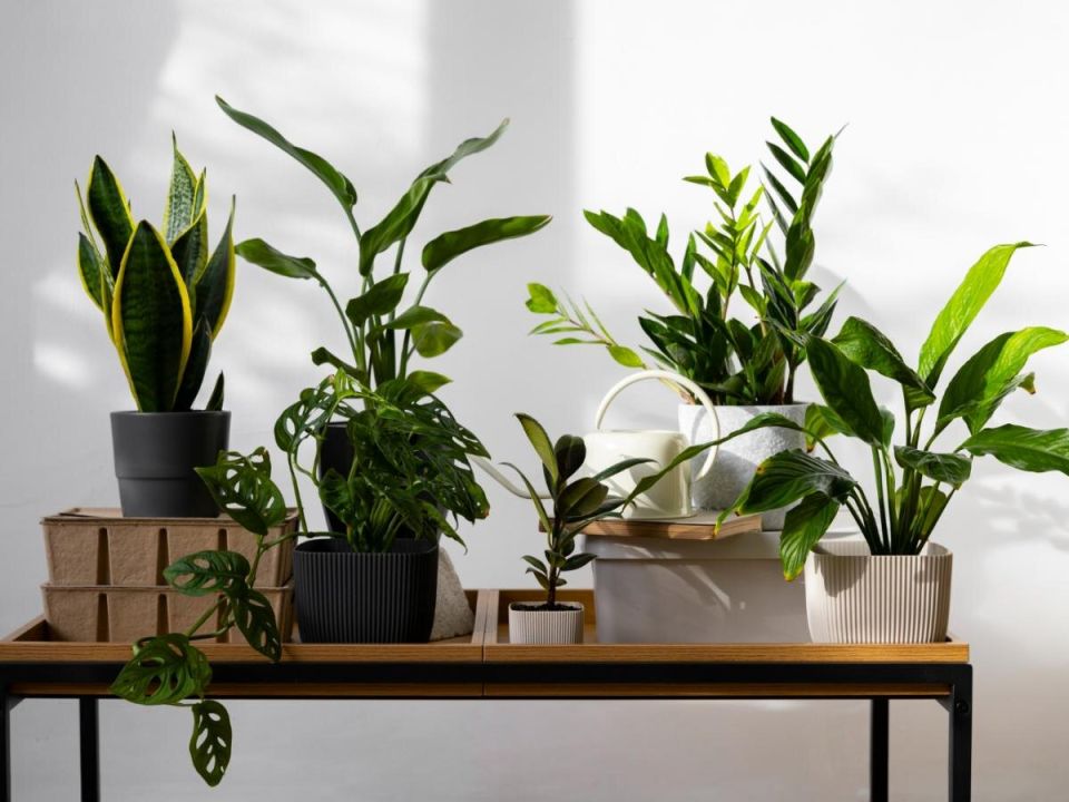 �������������� �����: ������� ���� � �������� ����� ��������