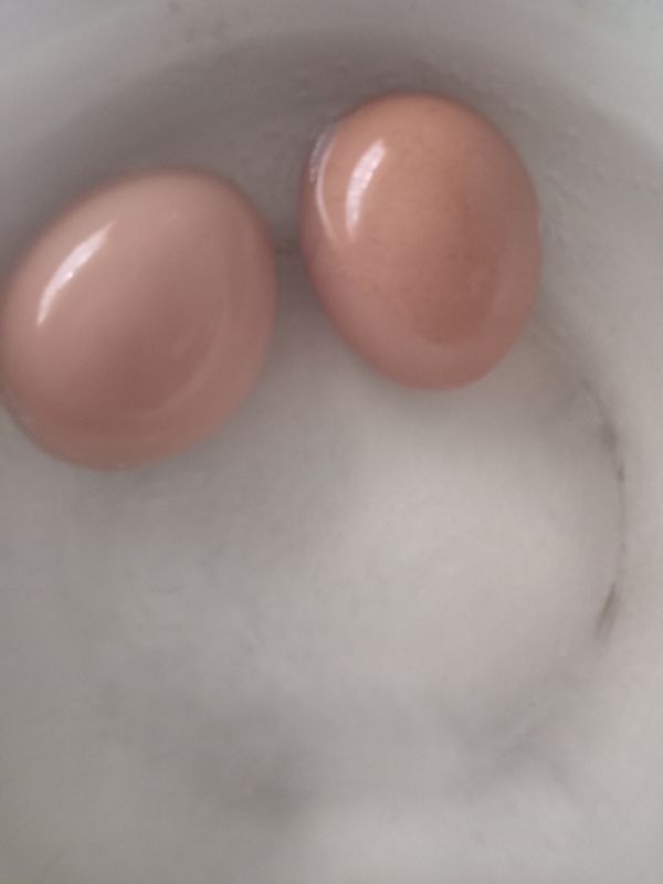 ������� ���������� � �����-��������� ��������, ������� ������ ����� ������