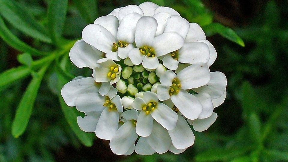 ������: ����� �������� ��� ������ ����