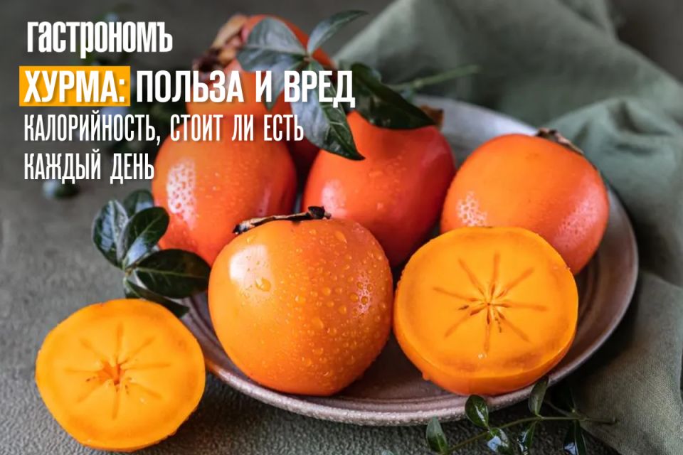 �����: ������� �������� ��������� � ��������������� �� ������������