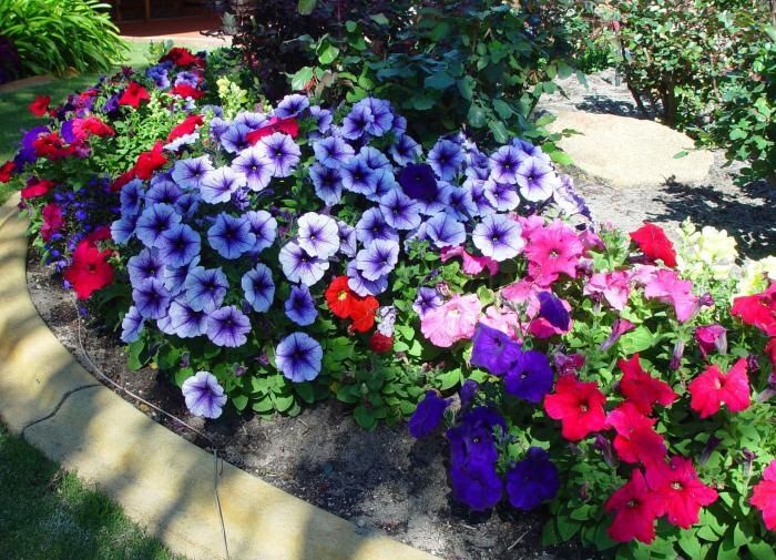 ��� ��������� �������� �������: ������ ��� ����������