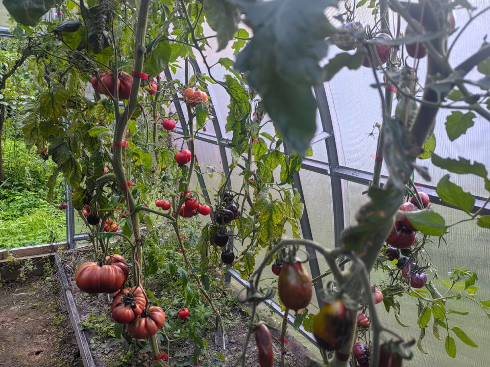 ����������� ��������� ������� ����� ��������� ����������