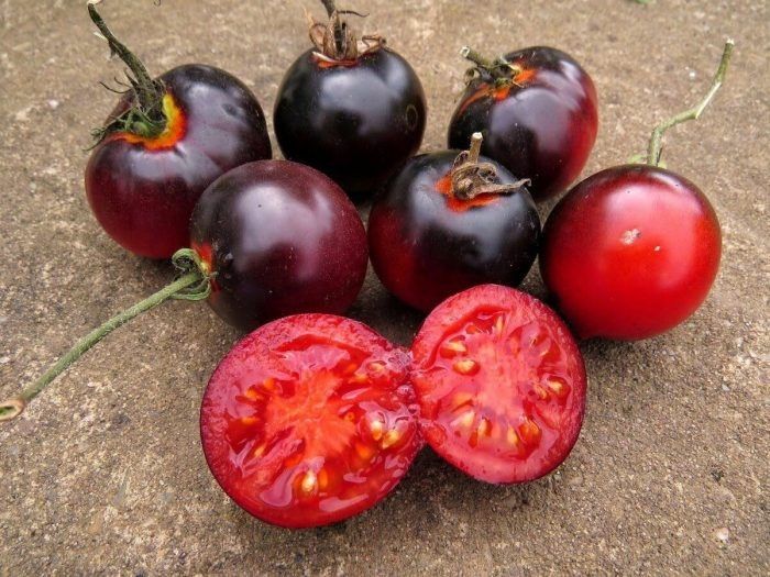 Томат Голубая старица: редкий сорт с характерной окраской и устойчивым вкусом