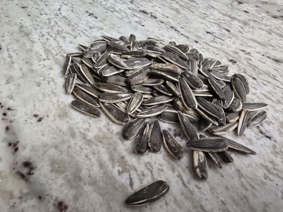 Соленые закуски: какие варианты выбрать для идеального стола