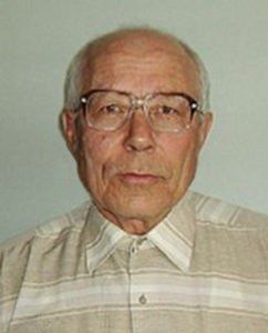 Смородина Пигмей: яркие особенности и отзывы садоводов