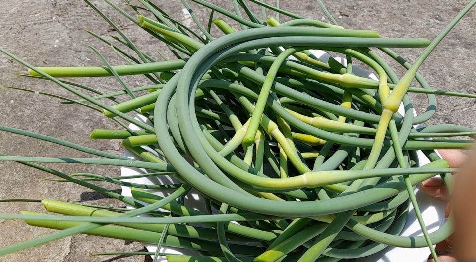 ��� ��������� ������� ������� � �������: �������� ������ � ����������