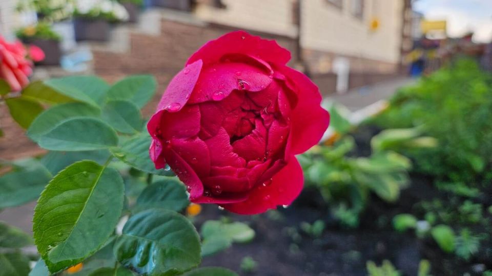 ������� �������� ������� ���: ������ �� �������� ��������