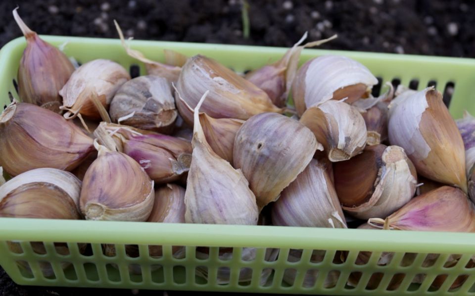 ��� ����������� ������ � �������: ������� ��������� ������