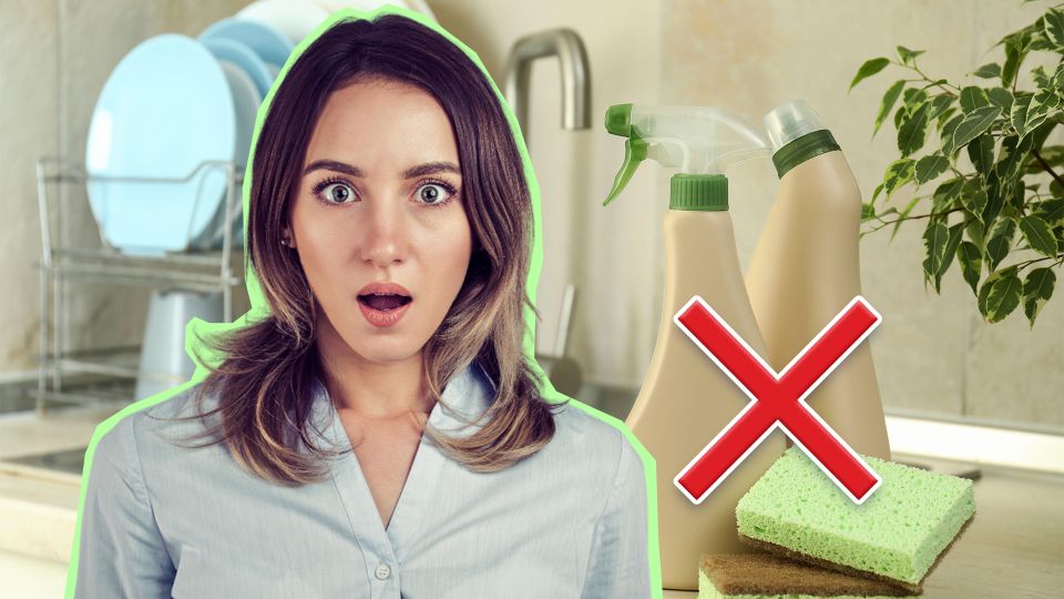 � ������ ������ ����� �� �������: ��� ������ �������� ��������� �������� �����������