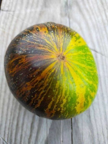 ����� ���� �������: ��������� ����� � ������� �����