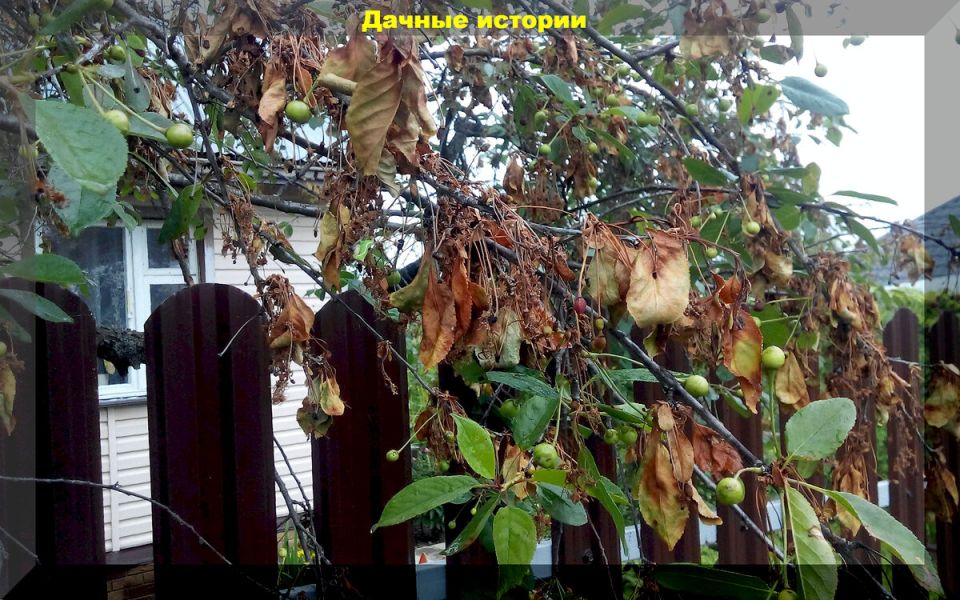 ��� �������� ����� �� ��������� � �������� ����: �������� ������ ��� ���������