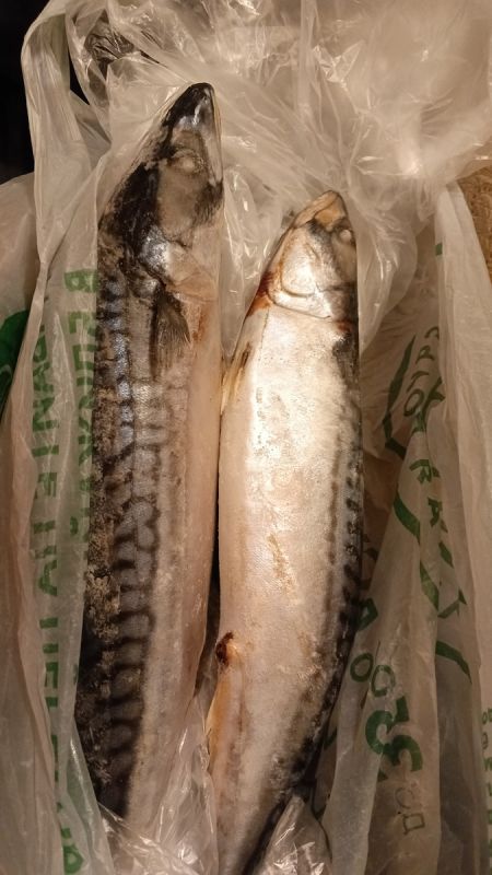 �������� � ���: ��� ���� ������� ������� ����������