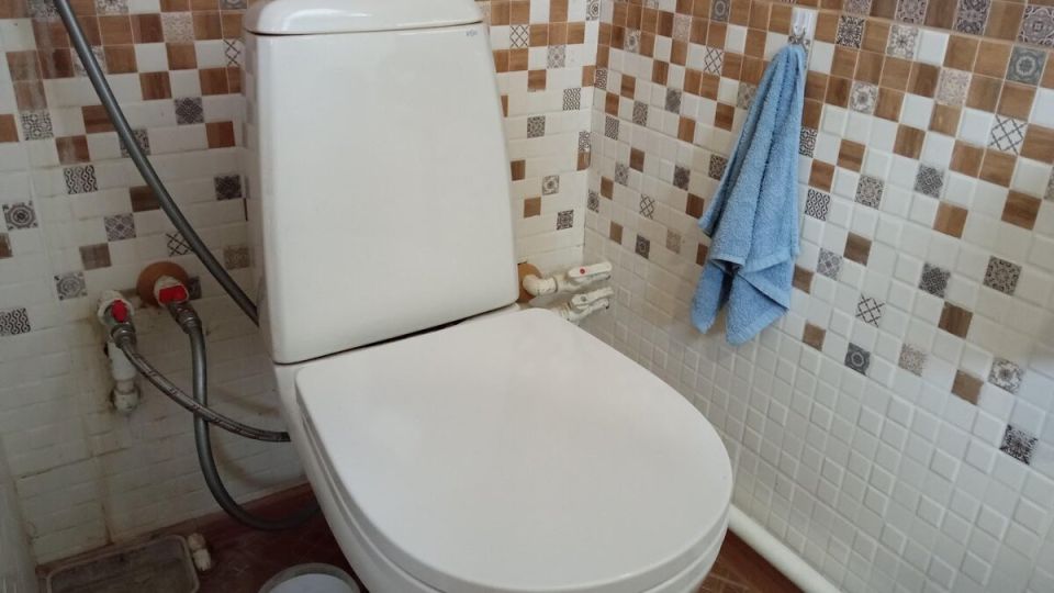 Уникальный способ очистки унитаза: как пемза помогла избавиться от налета