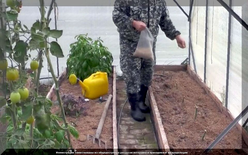 ��� ������������ ������� ����� ����������� �������: ������ �� ������� ����� � ������