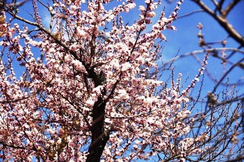 ��� ������ ��������� � �������� � ��������� ������