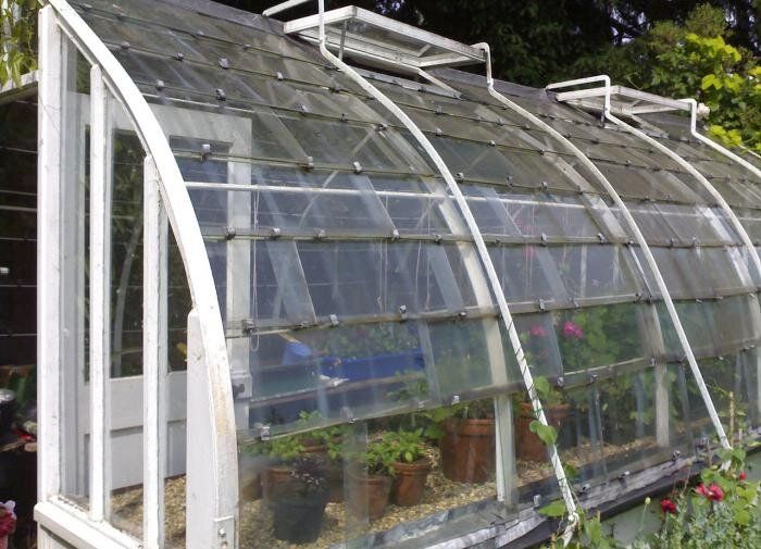 Что посадить в теплицу в начале весны: советы для садоводов