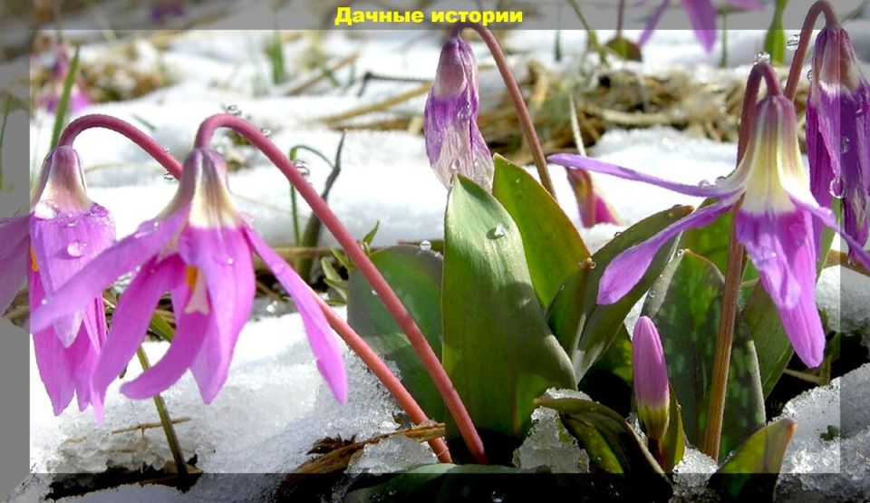 ���������� ����������: ������ �������� ��� ������ ����