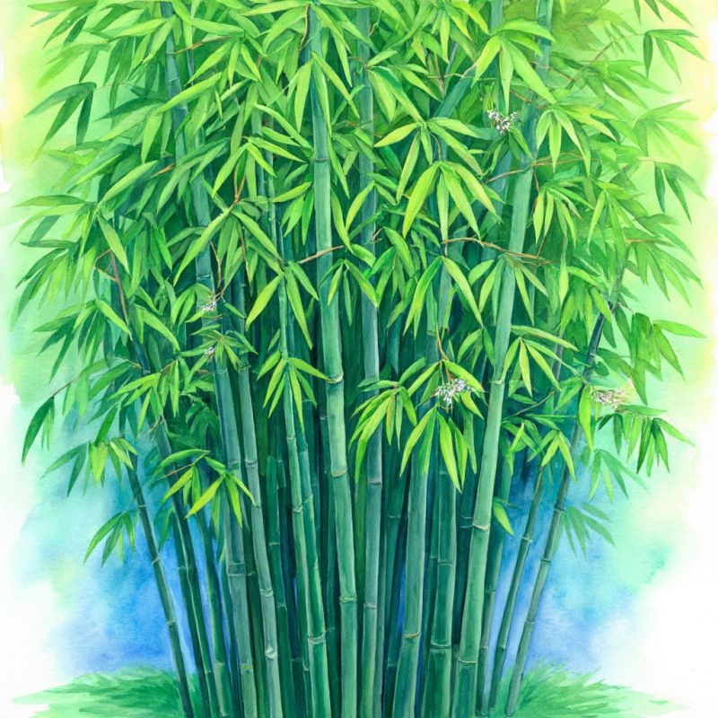 ������: ������������ �������� � ����������� �������������