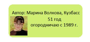 Как победить стеклянницу на смородине: секреты эффективности