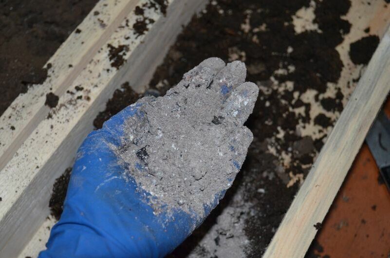 Зачем стоит добавлять древесную золу при посадке перца и томатов