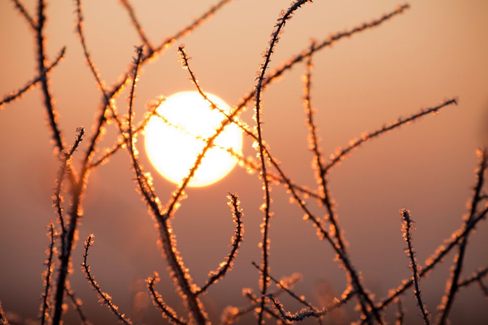 �������� ���������� ������� �������������� ������������, ���������� ������ �������